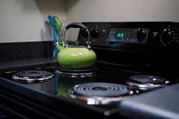 Sleek Black Energy Efficient Appliances*